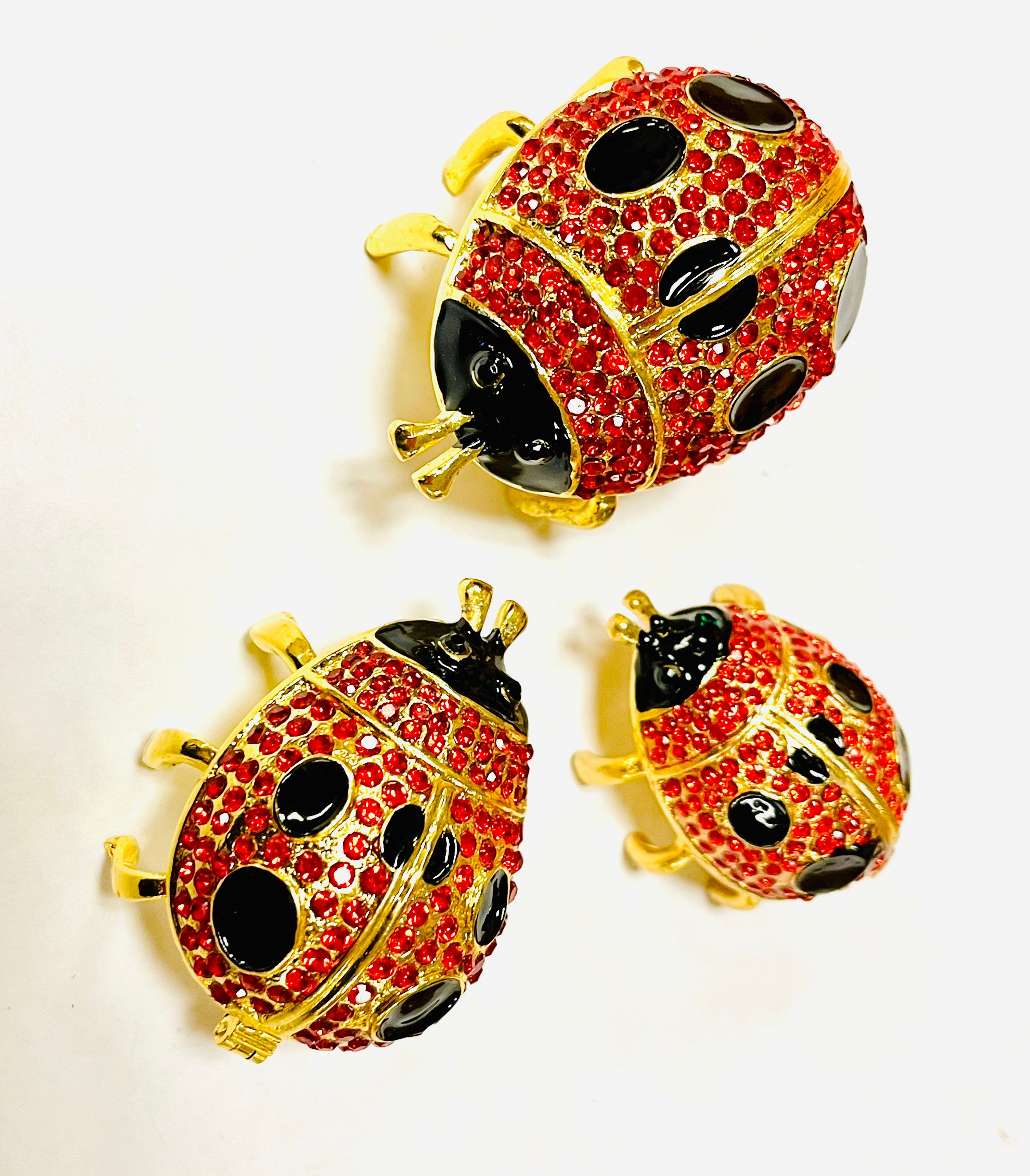 Lady Bug Set