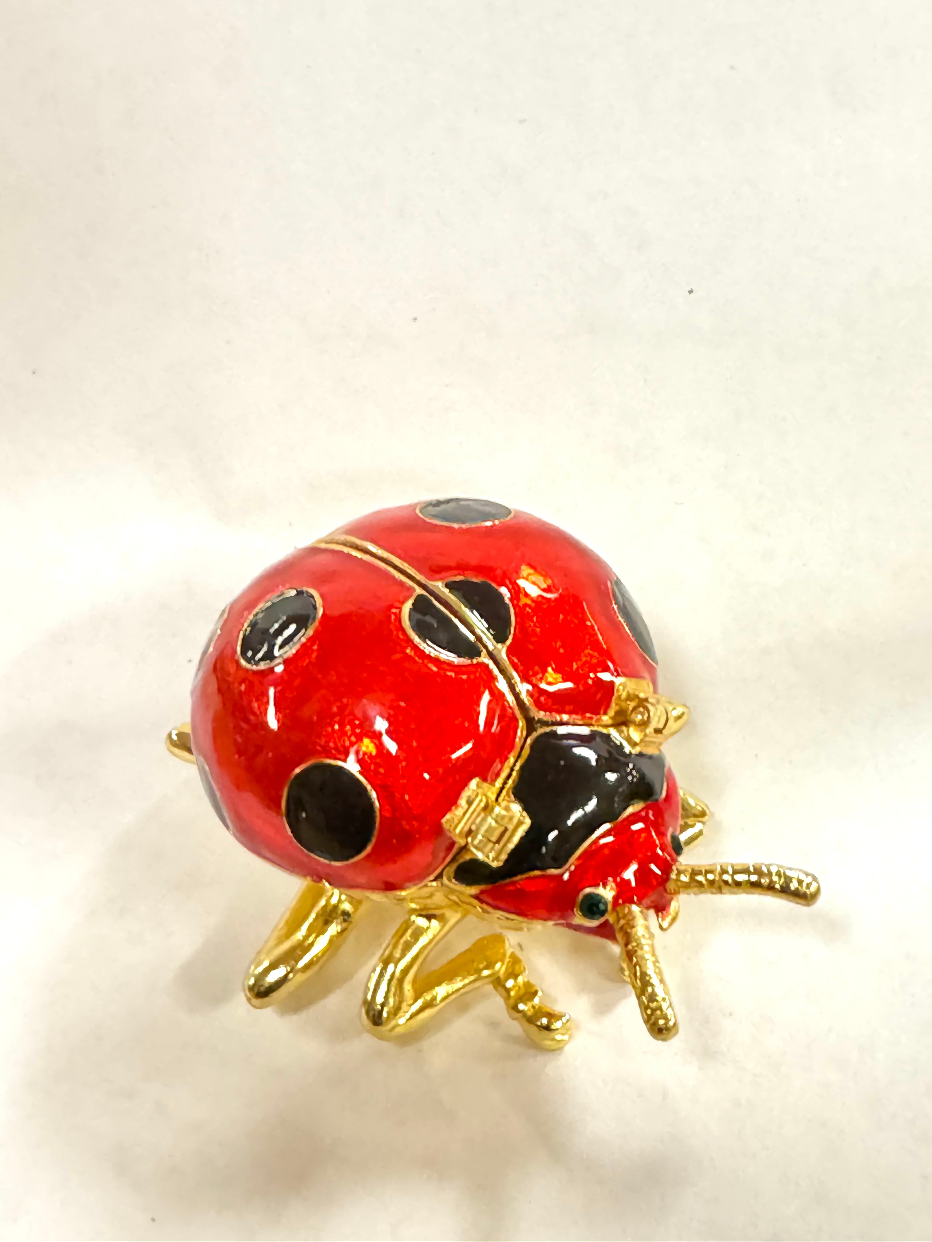 Lady Bug