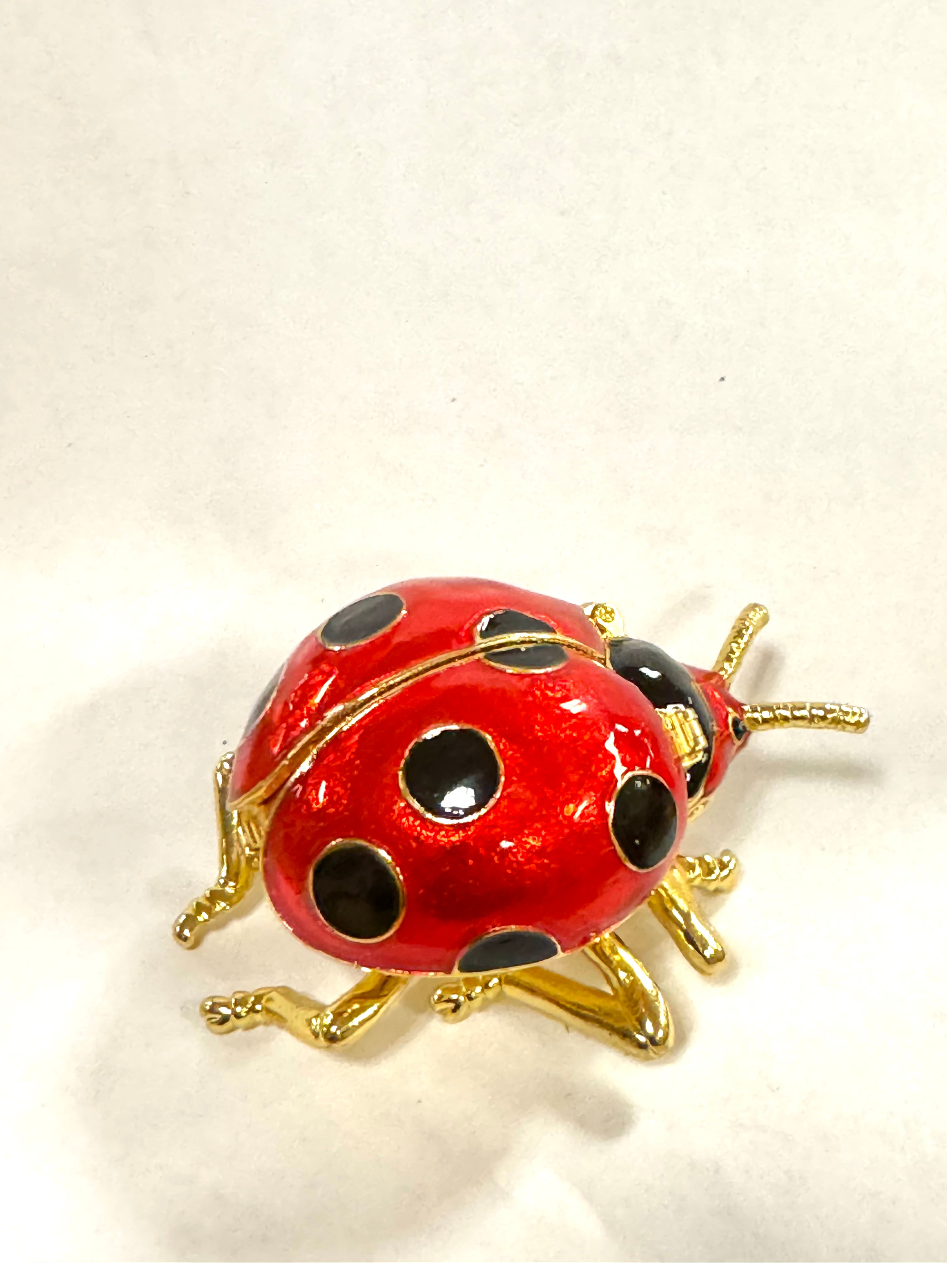 Lady Bug