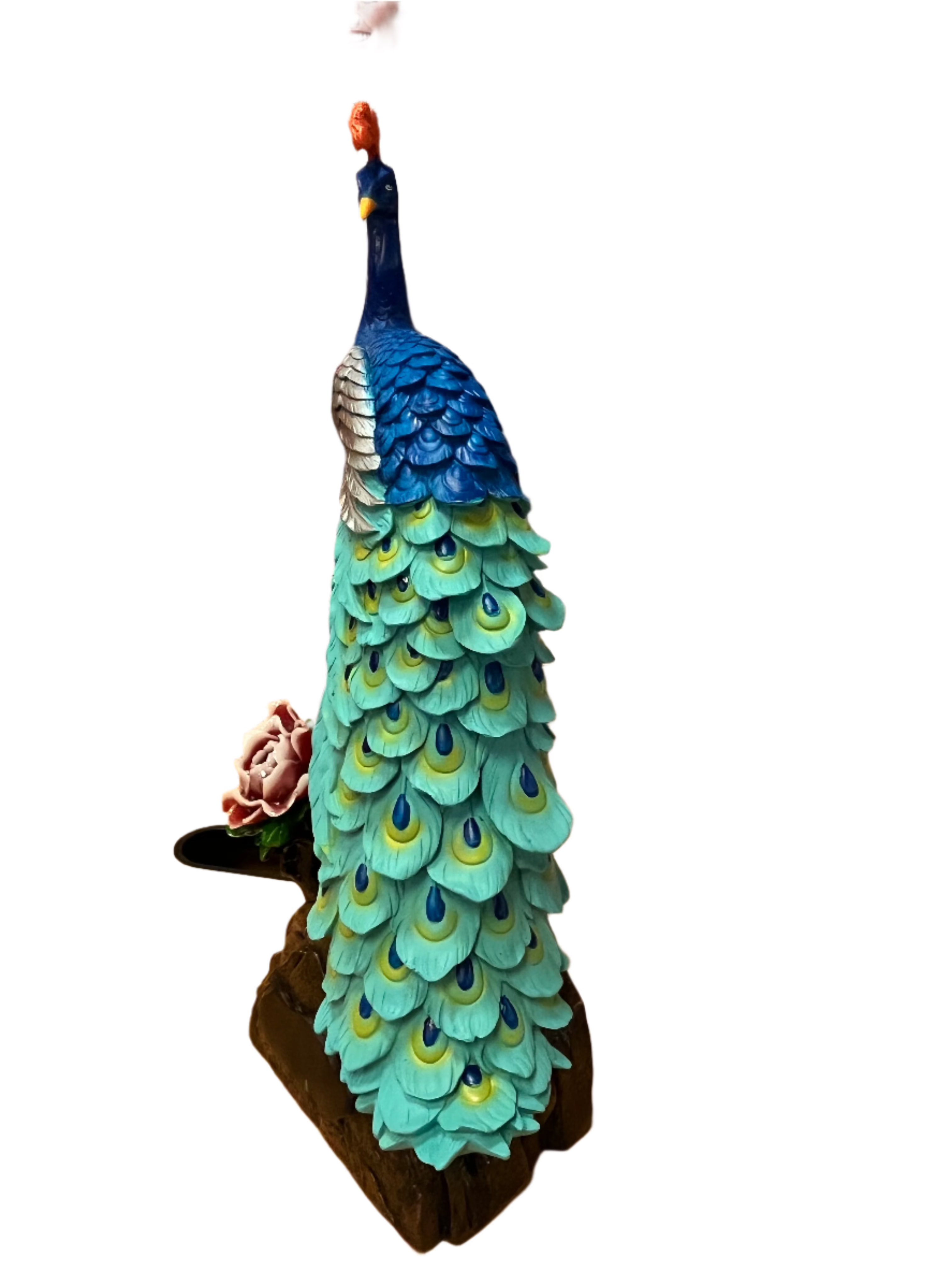 Peacock