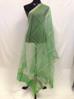 Chanderi Woven Silk Dupatta - Green - Sarang