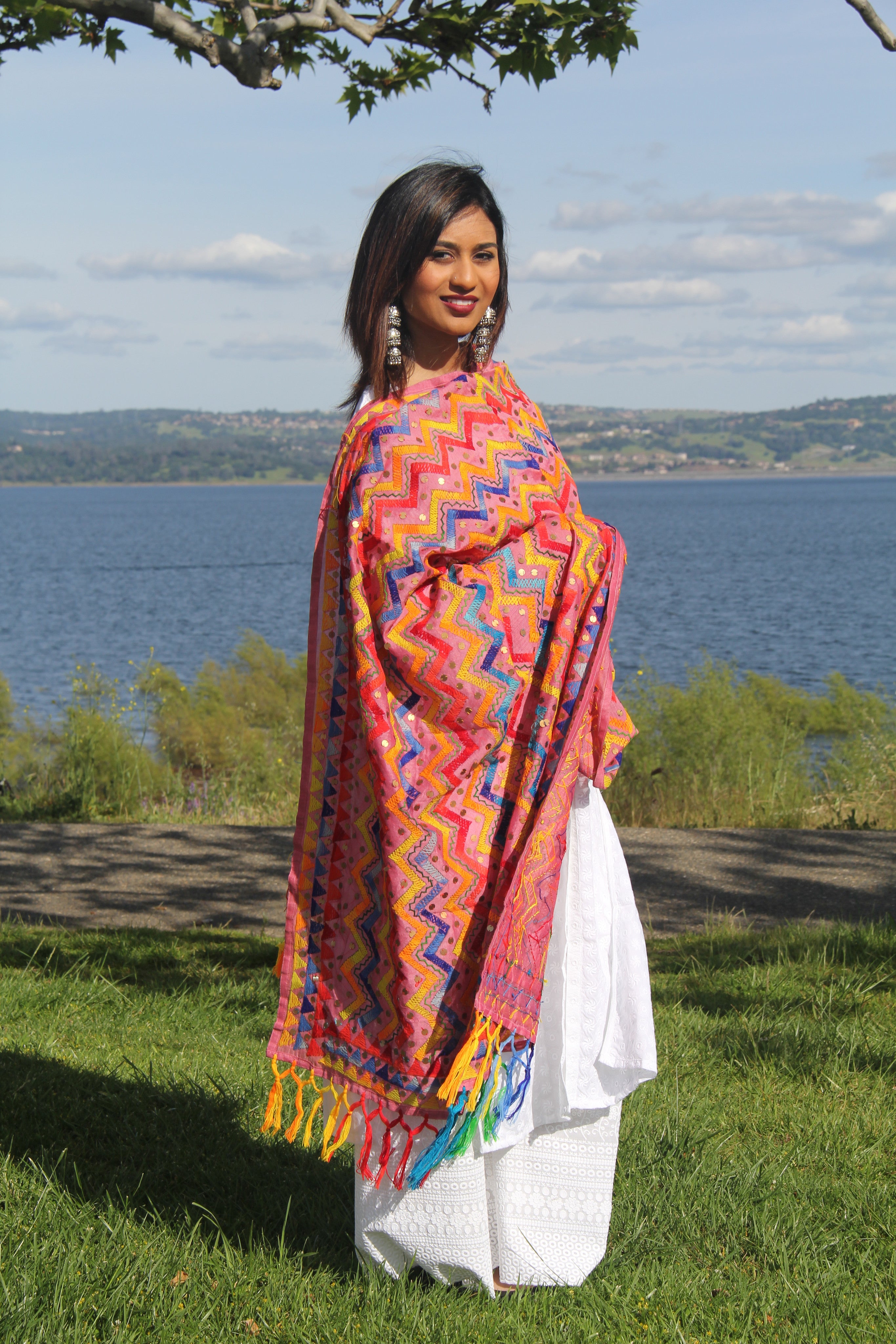 Phulkari Embroidered Dupatta - Sarang