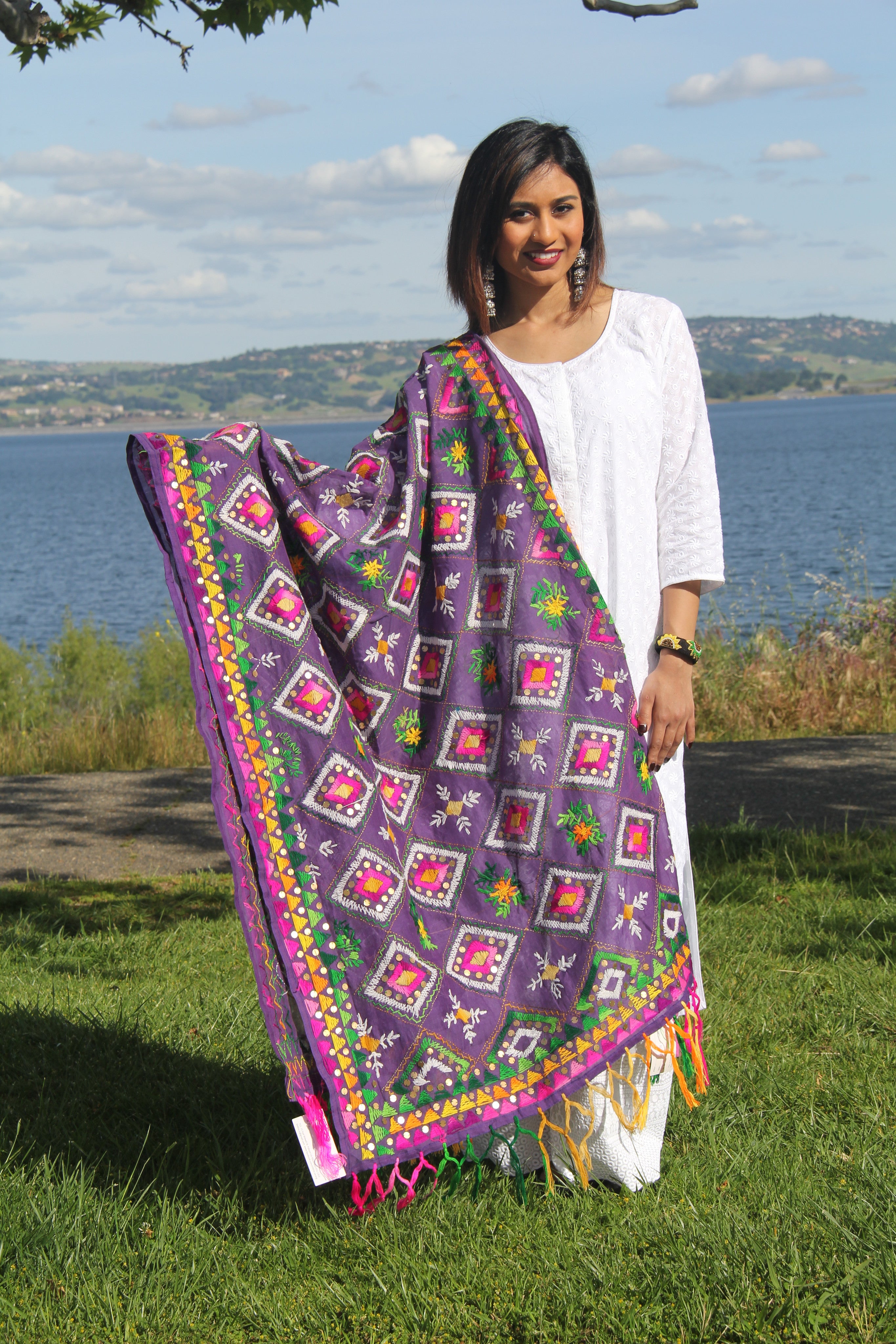 Phulkari Embroidered Dupatta - Sarang