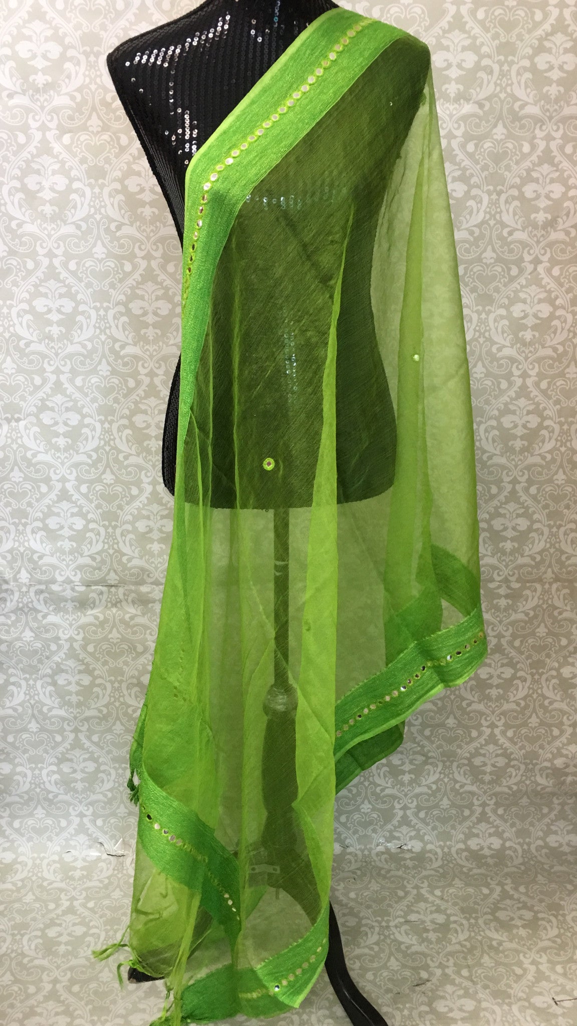 CHANDERI SILK MIRROR BORDER DUPATTA - Sarang