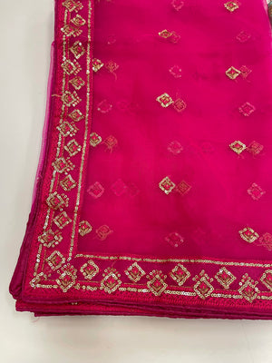 Net Dupatta With sequins Embroidery