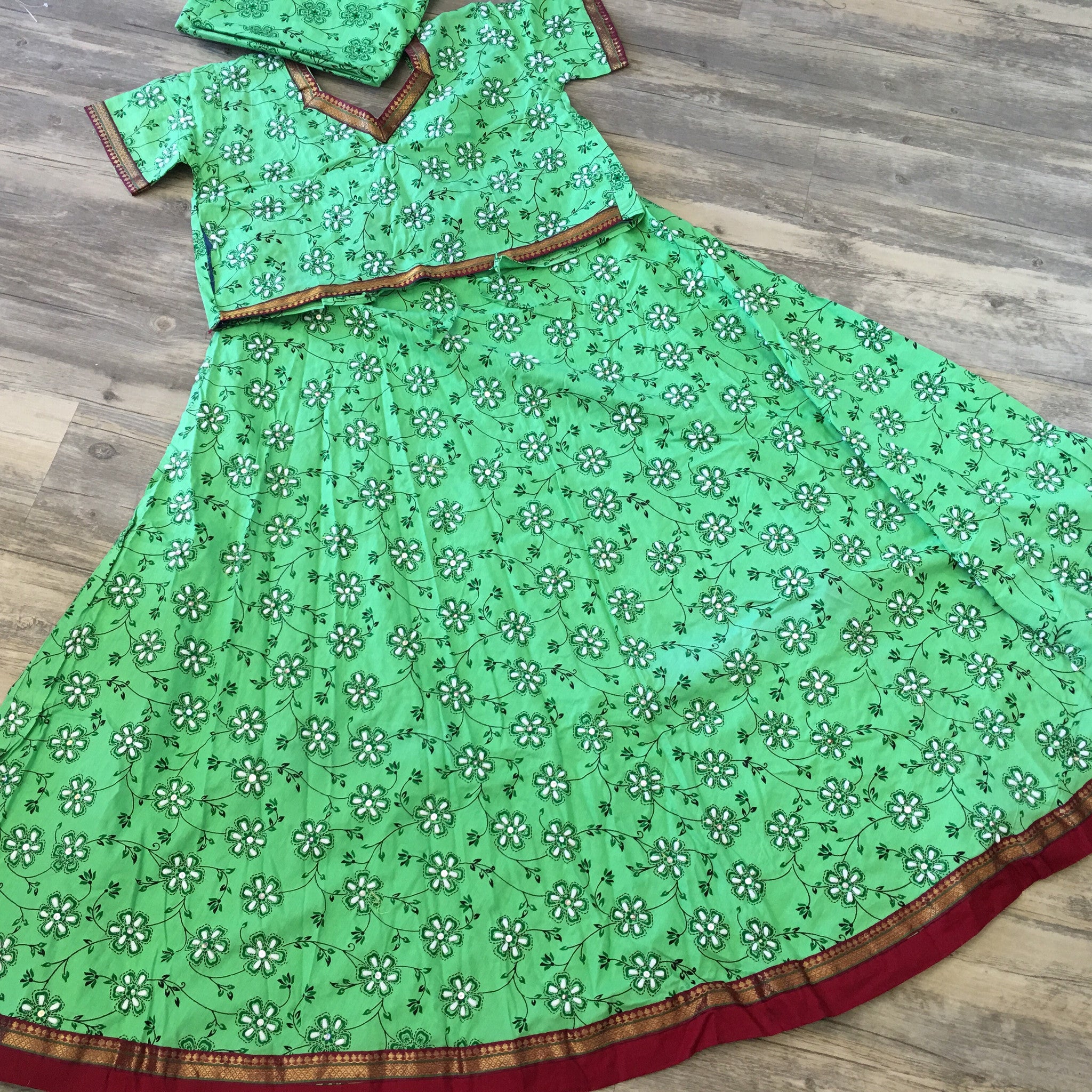 Traditional Ghaghra Choli - Sarang